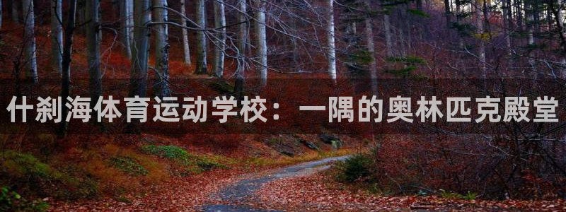 MK体育官网下载平台注册要钱吗安全吗:什刹海体育运动学校:一