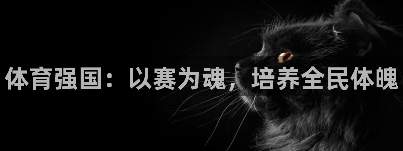 MK体育官方正版app娱乐首页官网下载:体育强国:以赛为魂,