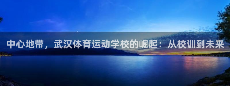 MK体育官网下载开户:中心地带,武汉体育运动学校的崛起:从校