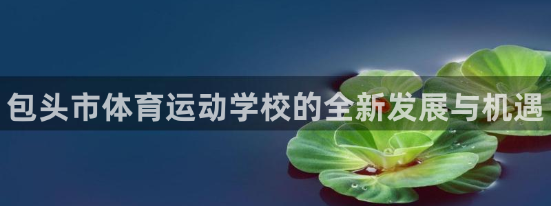 MK体育官方正版app集团E.ON:包头市体育运动学校的全新